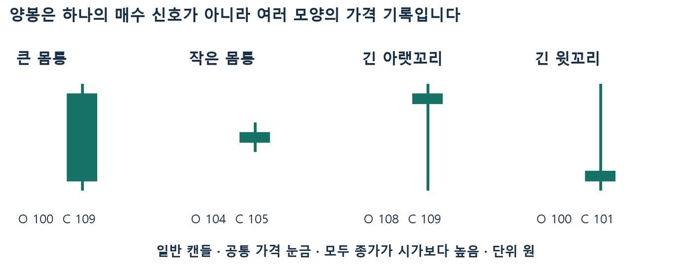 큰 몸통, 작은 몸통, 긴 아랫꼬리, 긴 윗꼬리 네 양봉을 같은 가격 눈금으로 비교한 그림